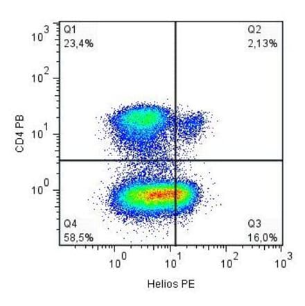 Flow Cytometry - Anti-ZNFN1A2/HELIOS Antibody [22F6] (PE) (A86297)
