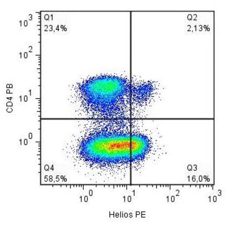 Flow Cytometry - Anti-ZNFN1A2/HELIOS Antibody [22F6] (PE) (A86297)