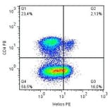Flow Cytometry - Anti-ZNFN1A2/HELIOS Antibody [22F6] (PE) (A86297)