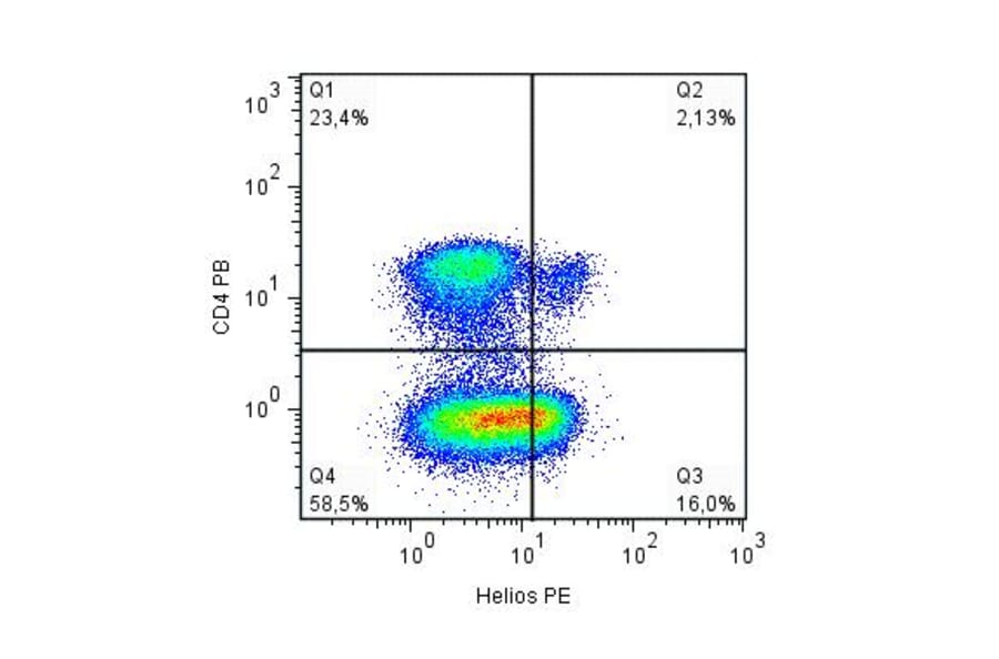 Flow Cytometry - Anti-Helios Antibody [22F6] (PE) (A86296) - Antibodies.com
