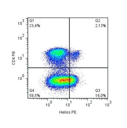 Flow Cytometry - Anti-Helios Antibody [22F6] (PE) (A86296) - Antibodies.com