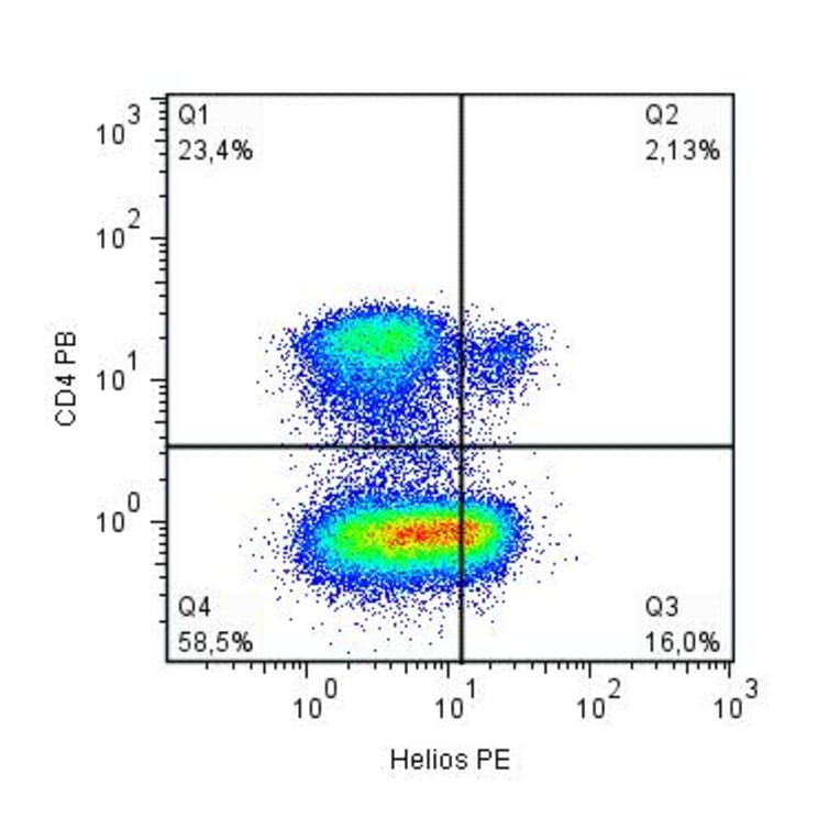Flow Cytometry - Anti-Helios Antibody [22F6] (PE) (A86296) - Antibodies.com