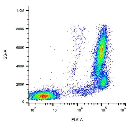 Flow Cytometry - Anti-CD157 Antibody [SY11B5] (APC) (A86297) - Antibodies.com
