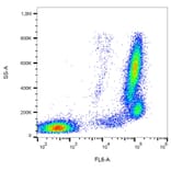 Flow Cytometry - Anti-CD157 Antibody [SY11B5] (APC) (A86297) - Antibodies.com