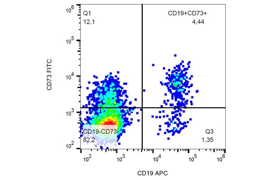 Flow Cytometry - Anti-CD73 Antibody [AD2] (FITC) (A86301)