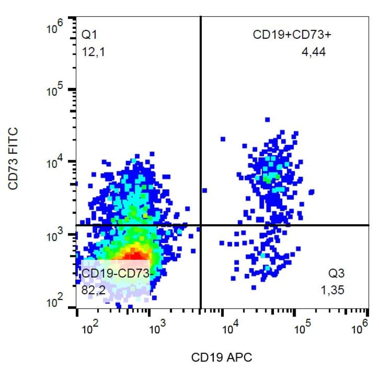 Flow Cytometry - Anti-CD73 Antibody [AD2] (FITC) (A86301)