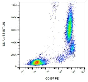Flow Cytometry - Anti-CD157 Antibody [SY11B5] (PE) (A86301) - Antibodies.com