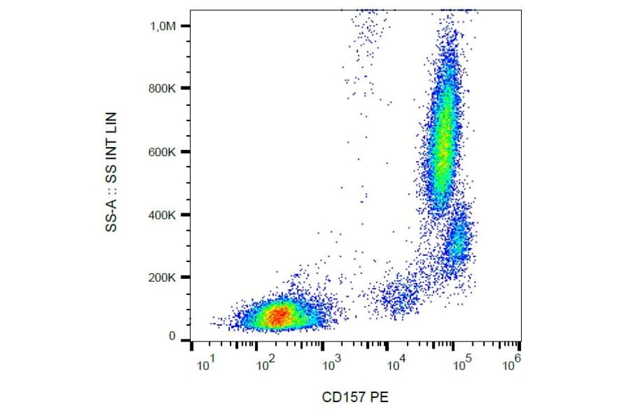 Flow Cytometry - Anti-CD157 Antibody [SY11B5] (PE) (A86301) - Antibodies.com