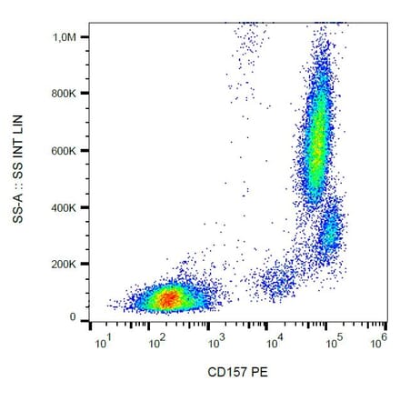 Flow Cytometry - Anti-CD157 Antibody [SY11B5] (PE) (A86301) - Antibodies.com