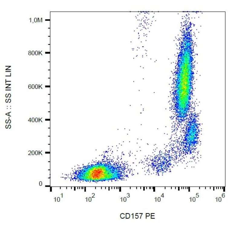 Flow Cytometry - Anti-CD157 Antibody [SY11B5] (PE) (A86301) - Antibodies.com