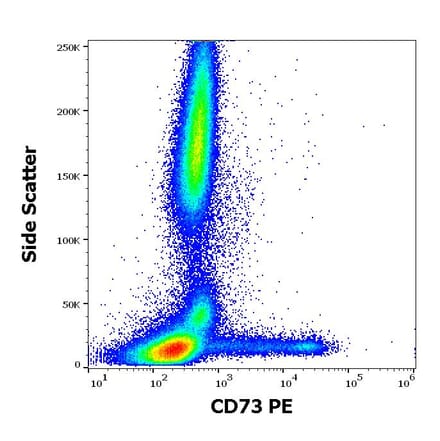 Flow Cytometry - Anti-CD73 Antibody [AD2] (PE) (A86303)