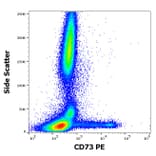 Flow Cytometry - Anti-CD73 Antibody [AD2] (PE) (A86303)