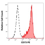Flow Cytometry - Anti-CD73 Antibody [AD2] (PE) (A86303)