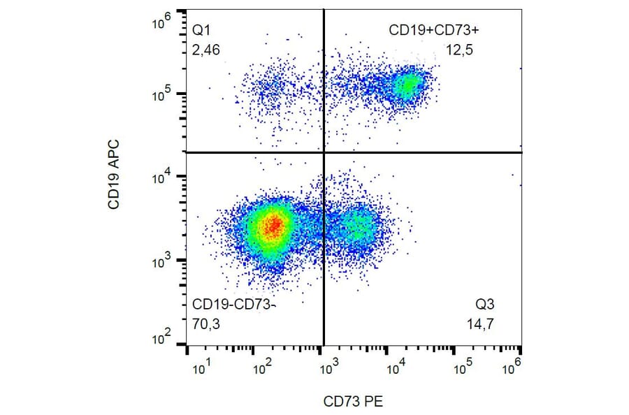 Flow Cytometry - Anti-CD73 Antibody [AD2] (PE) (A86302) - Antibodies.com