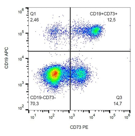 Flow Cytometry - Anti-CD73 Antibody [AD2] (PE) (A86302) - Antibodies.com