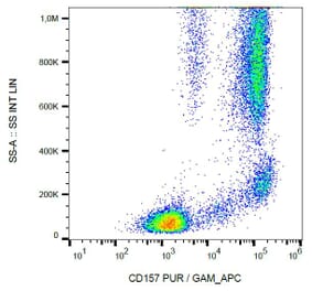 Flow Cytometry - Annexin V (PE) (A86306)