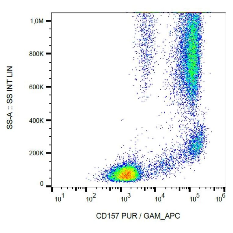 Flow Cytometry - Annexin V (PE) (A86306)