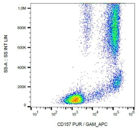 Flow Cytometry - Anti-CD157 Antibody [SY11B5] (A86305) - Antibodies.com