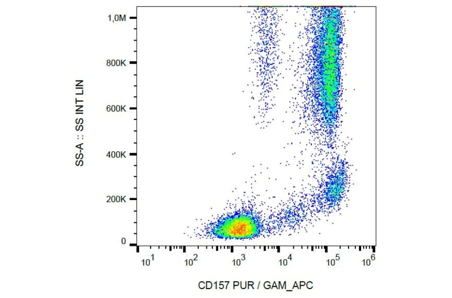 Flow Cytometry - Anti-CD157 Antibody [SY11B5] (A86305) - Antibodies.com