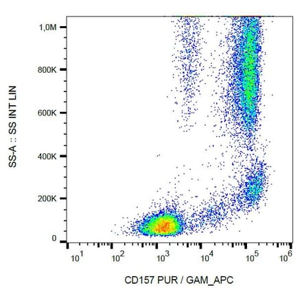 Flow Cytometry - Anti-CD157 Antibody [SY11B5] (A86305) - Antibodies.com