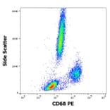 Flow Cytometry - Anti-CD68 Antibody [Y1/82A] (PE) (A86313)