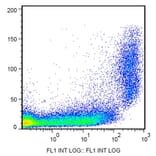 Flow Cytometry - Anti-CD9 Antibody [EM-04] (FITC) (A86319)