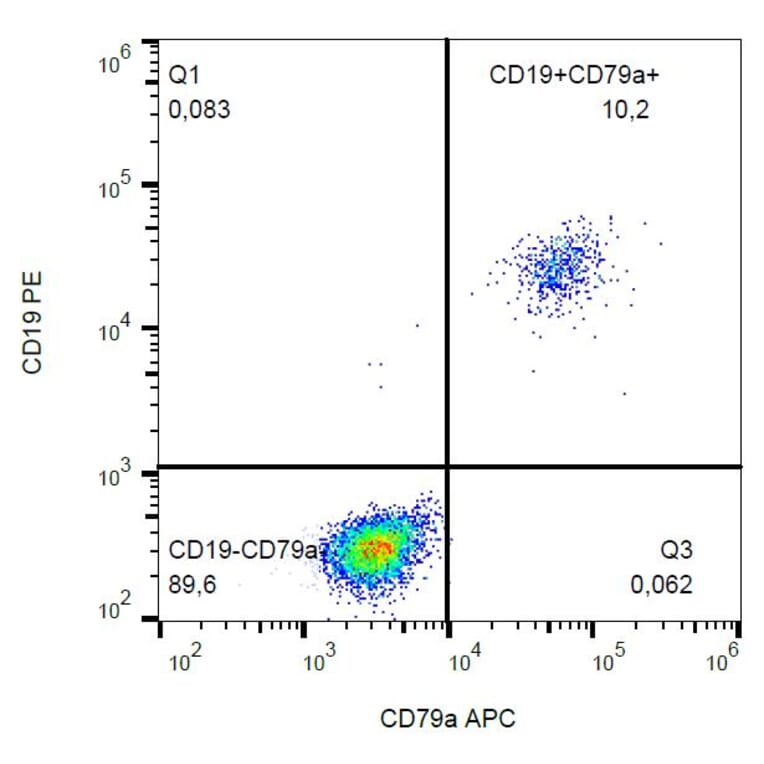 Flow Cytometry - Anti-CD79a Antibody [HM47] (APC) (A86322)