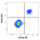 Flow Cytometry - Anti-CD79a Antibody [HM47] (PE) (A86326)