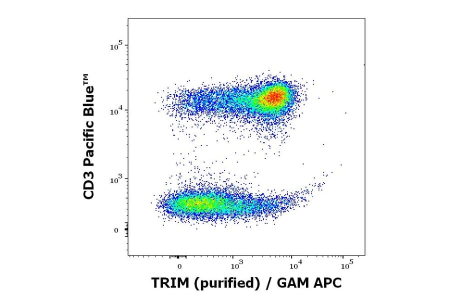 Flow Cytometry - Anti-LAT Antibody [LAT-01] (A86328)