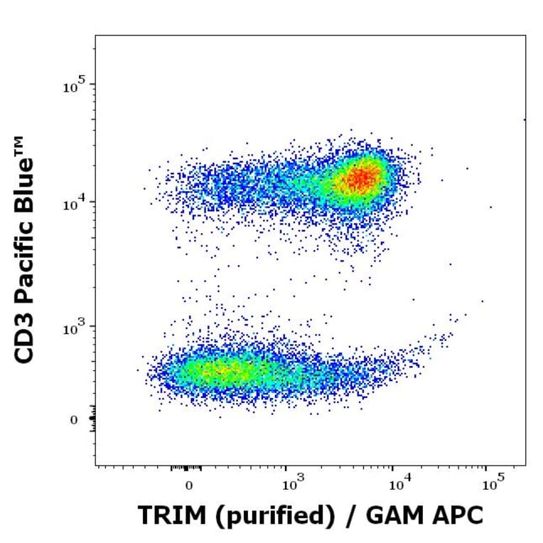 Flow Cytometry - Anti-LAT Antibody [LAT-01] (A86328)
