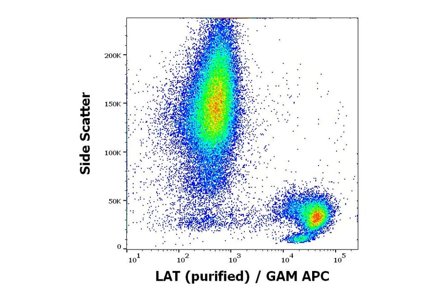 Flow Cytometry - Anti-LAT Antibody [LAT-01] (A86328)