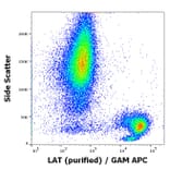 Flow Cytometry - Anti-LAT Antibody [LAT-01] (A86328)