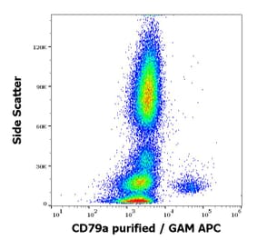 Flow Cytometry - Anti-CD79a Antibody [HM47] (A86331)