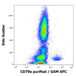 Flow Cytometry - Anti-CD79a Antibody [HM47] (A86331)