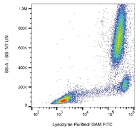Flow Cytometry - Anti-Lysozyme Antibody [LZ598-10G9] (A86332)