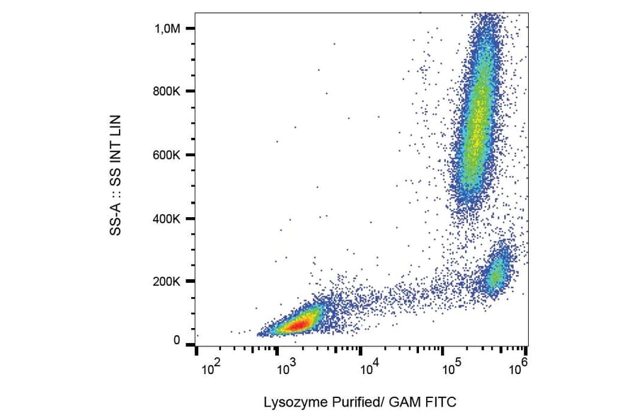 Flow Cytometry - Anti-Lysozyme Antibody [LZ598-10G9] (A86332)