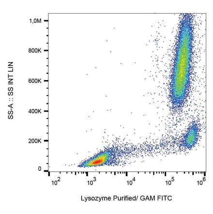 Flow Cytometry - Anti-Lysozyme Antibody [LZ598-10G9] (A86332)