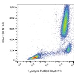 Flow Cytometry - Anti-Lysozyme Antibody [LZ598-10G9] (A86332)