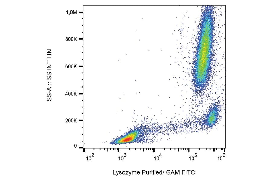 Flow Cytometry - Anti-Lysozyme Antibody [LZ598-10G9] (A86332) - Antibodies.com