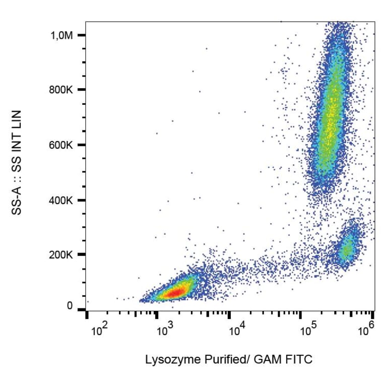 Flow Cytometry - Anti-Lysozyme Antibody [LZ598-10G9] (A86332) - Antibodies.com