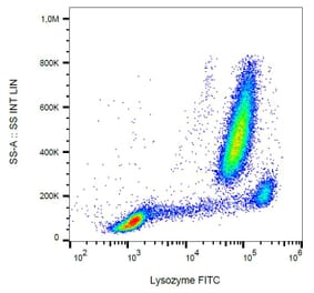 Flow Cytometry - Anti-Lysozyme Antibody [LZ598-10G9] (FITC) (A86334)
