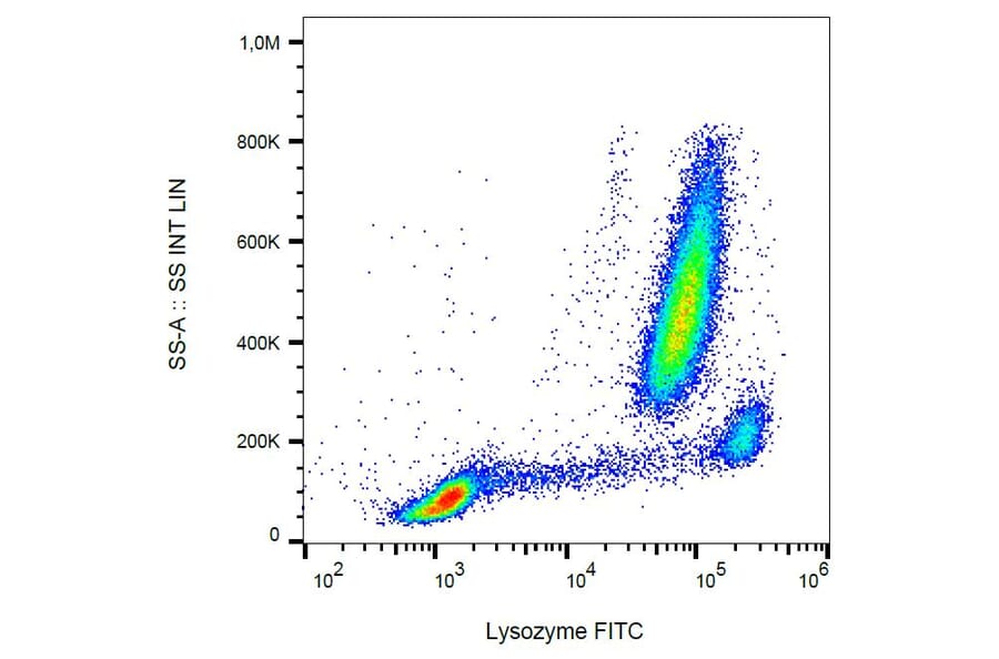 Flow Cytometry - Anti-Lysozyme Antibody [LZ598-10G9] (FITC) (A86334)