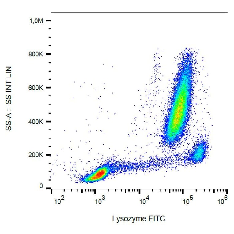Flow Cytometry - Anti-Lysozyme Antibody [LZ598-10G9] (FITC) (A86334)