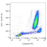 Flow Cytometry - Anti-Lysozyme Antibody [LZ598-10G9] (FITC) (A86334)