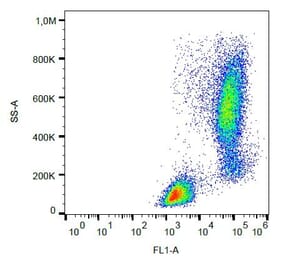 Flow Cytometry - Anti-Lysozyme Antibody [LZ598-10G9] (FITC) (A86332) - Antibodies.com