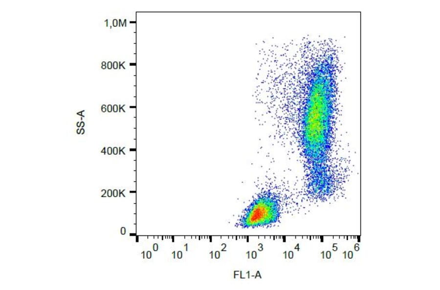 Flow Cytometry - Anti-Lysozyme Antibody [LZ598-10G9] (FITC) (A86332) - Antibodies.com