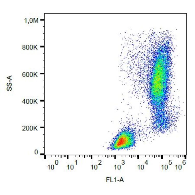 Flow Cytometry - Anti-Lysozyme Antibody [LZ598-10G9] (FITC) (A86332) - Antibodies.com