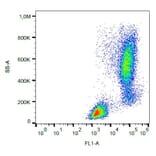 Flow Cytometry - Anti-Lysozyme Antibody [LZ598-10G9] (FITC) (A86332) - Antibodies.com