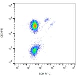 Flow Cytometry - Anti-TCR gamma + TCR delta Antibody [B1] (FITC) (A86339)