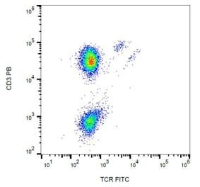 Flow Cytometry - Anti-TCR gamma + TCR delta Antibody [B1] (FITC) (A86336) - Antibodies.com
